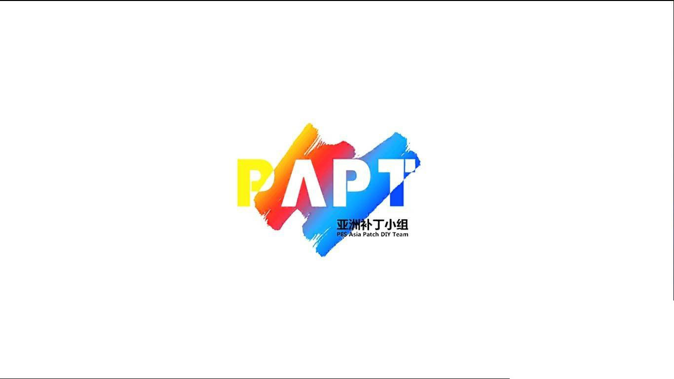 ʵ2013PAPT2013ԶV2.0Ԥ