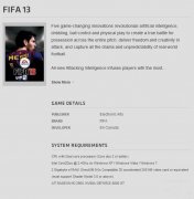 ٷʽFIFA13PCҪ