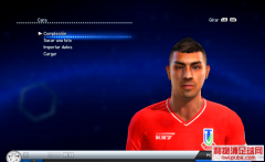 PES2013ɭͶ˹Ͳ