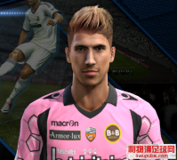 PES2013տͲ