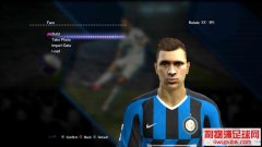 PES2013Ͳ