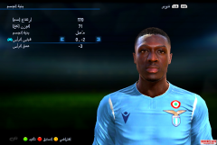 PES2013¿ҮͲ