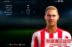 PES2013()Ͳ