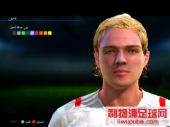 PES2013()Ͳ