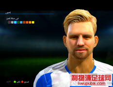 PES2013ڡ(ڡ)Ͳ