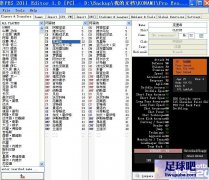 PES2011 浵޸PES2011 Editor v1.1