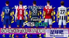 PES2021 EVOWEBv6.0תᲹ[2.13]